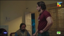 Zard Patton Ka Bunn - Episode 14 - 11th August 2024